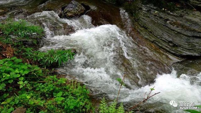 逃出安逸小乡村